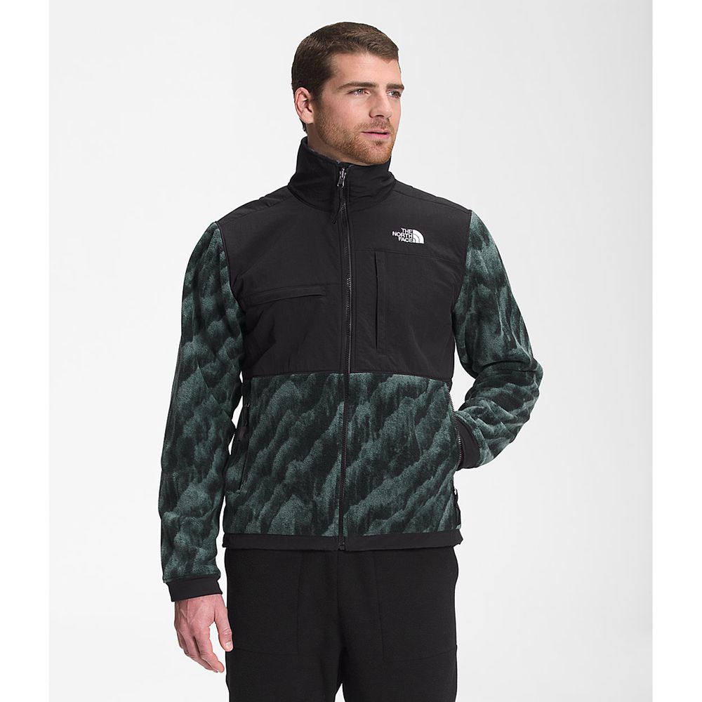 The North Face Fleece Jacket Mens Australia - The North Face Printed Denali 2 Green (OES-613028)